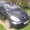 Продам Citroen Xsara Picasso 2007 г. #88205