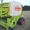 Пресс-подборщик рулонный  Claas Rollant 46 #1159807